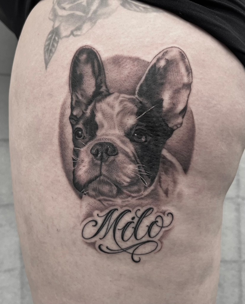 realistic-black-and-grey-dog-portrait