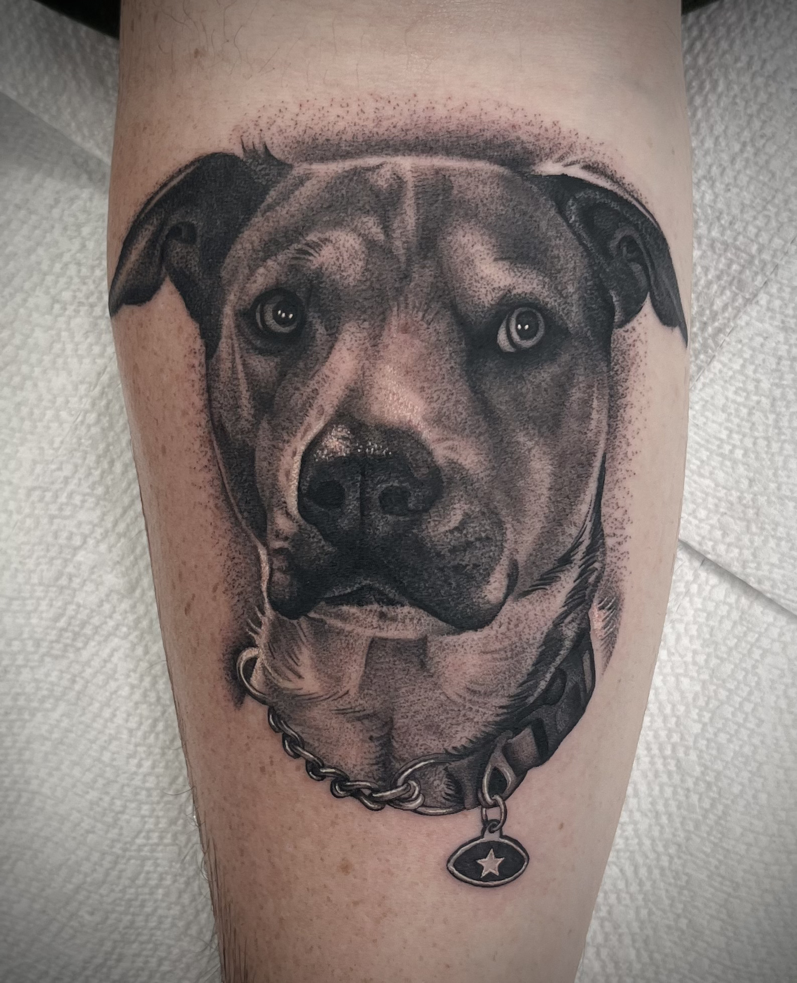 realistic-dog-portrait-san-diego-tattoo